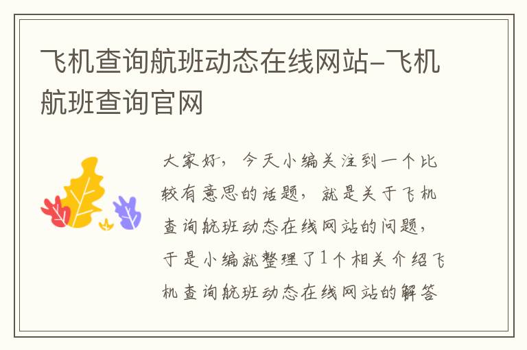 飛機查詢航班動態(tài)在線網(wǎng)站-飛機航班查詢官網(wǎng)