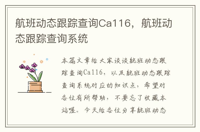 航班動態(tài)跟蹤查詢Ca116，航班動態(tài)跟蹤查詢系統(tǒng)