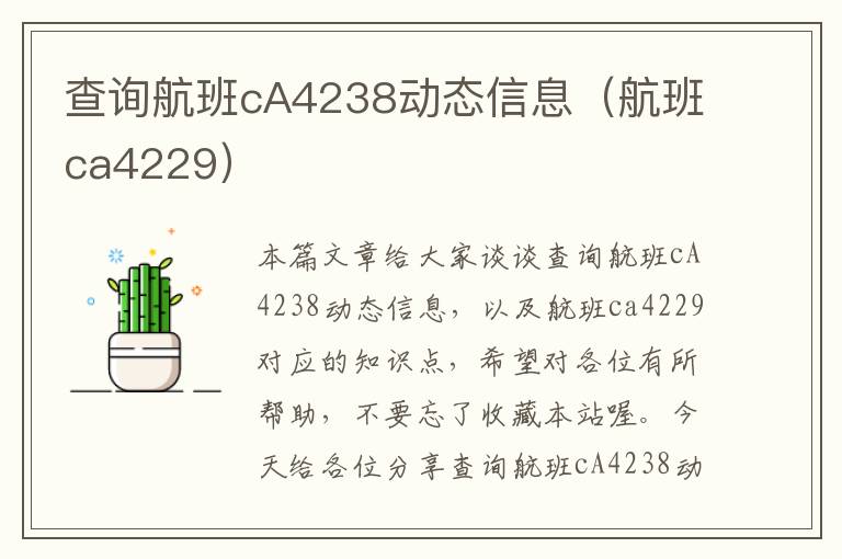 查詢航班cA4238動(dòng)態(tài)信息（航班ca4229）