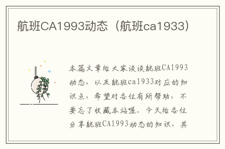 航班CA1993動態(tài)（航班ca1933）