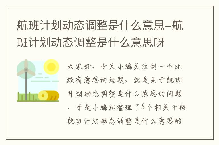 航班計劃動態(tài)調整是什么意思-航班計劃動態(tài)調整是什么意思呀