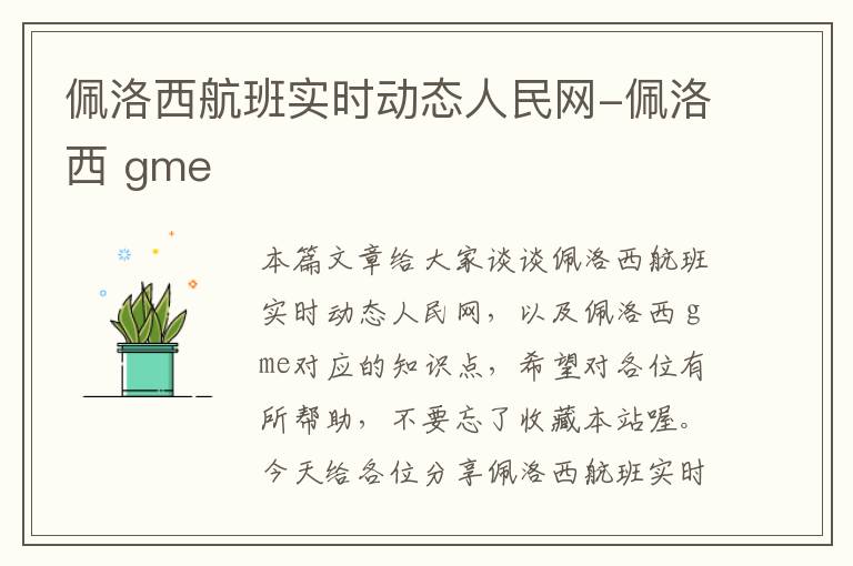 佩洛西航班實(shí)時(shí)動(dòng)態(tài)人民網(wǎng)-佩洛西 gme