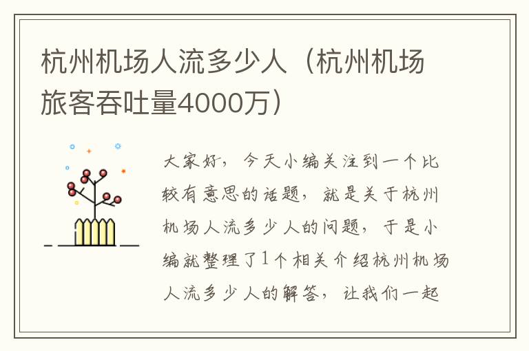 杭州機場人流多少人（杭州機場旅客吞吐量4000萬）