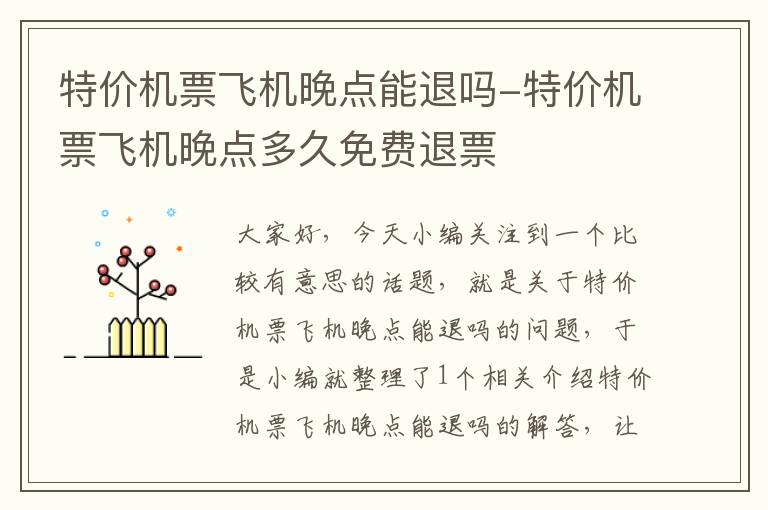 特價機票飛機晚點能退嗎-特價機票飛機晚點多久免費退票