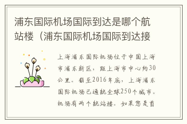 浦東國際機場國際到達是哪個航站樓（浦東國際機場國際到達接人車輛停留）