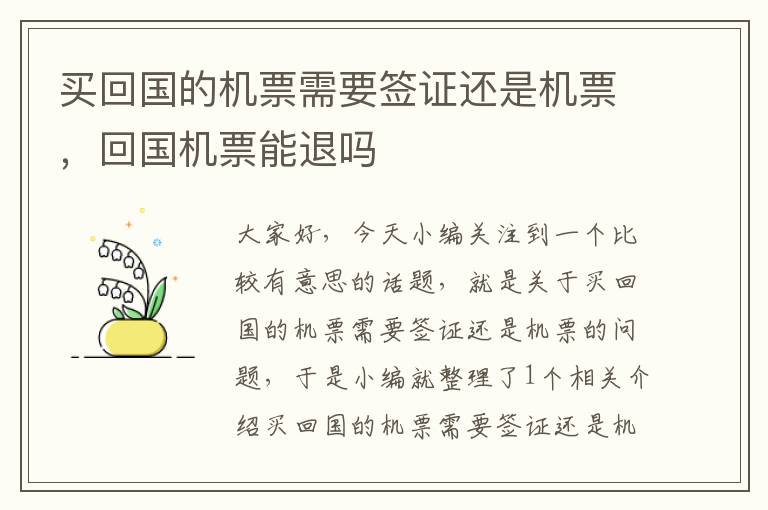 買回國(guó)的機(jī)票需要簽證還是機(jī)票，回國(guó)機(jī)票能退嗎