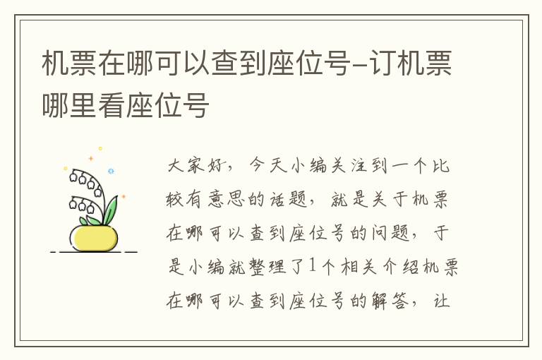 機票在哪可以查到座位號-訂機票哪里看座位號