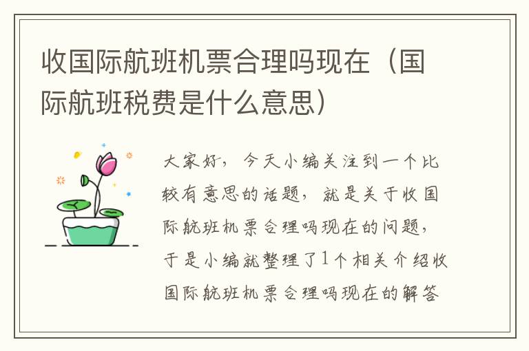 收國(guó)際航班機(jī)票合理嗎現(xiàn)在（國(guó)際航班稅費(fèi)是什么意思）