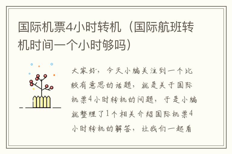 國際機(jī)票4小時(shí)轉(zhuǎn)機(jī)（國際航班轉(zhuǎn)機(jī)時(shí)間一個(gè)小時(shí)夠嗎）